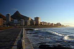 green point IMG_1198.JPG